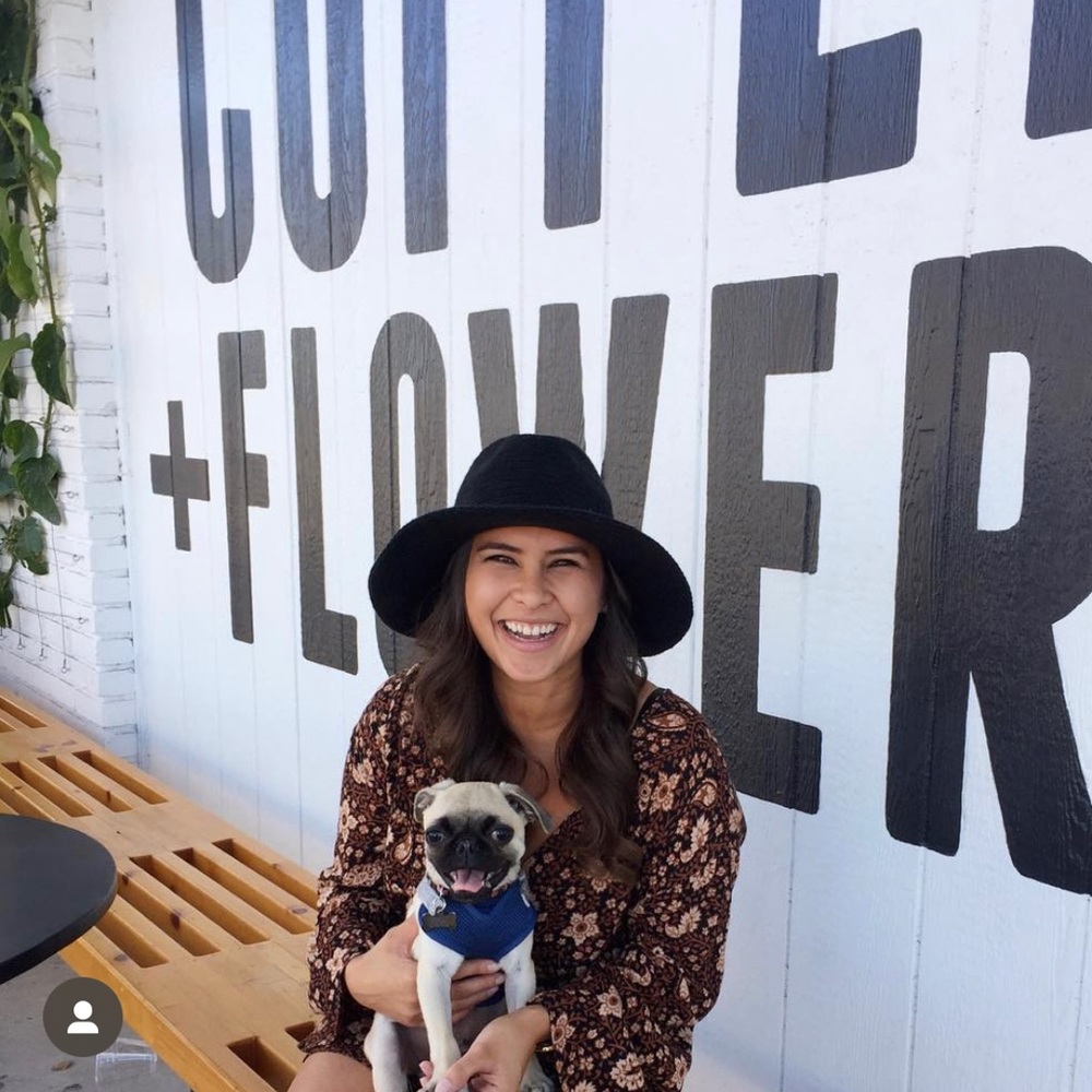 Amuse Society Black and Brown Romper (Size: Small)